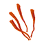 Saffron