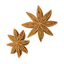 Star Anise