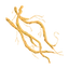 Vetiver