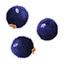 Blackcurrant
