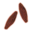 Tonka Bean