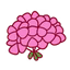 Geranium
