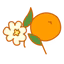 Orange Blossom
