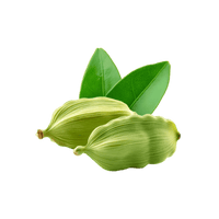 Cardamom