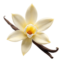 Vanilla